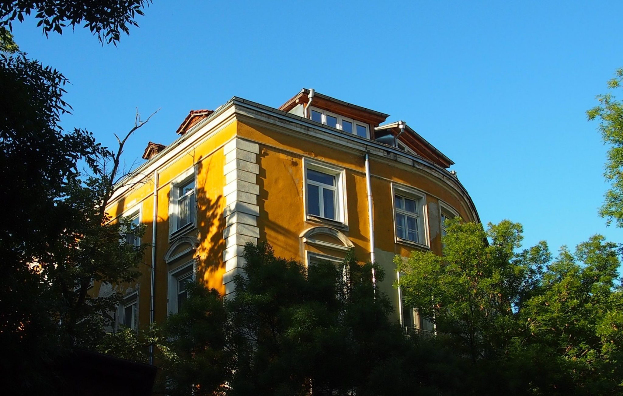 Димитър Димов